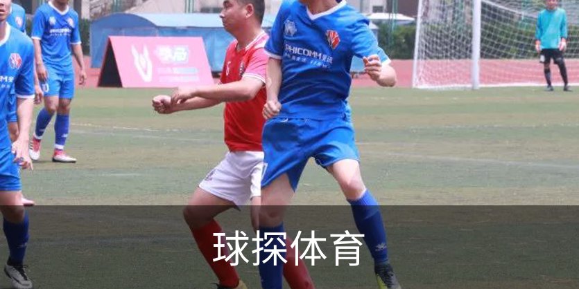 球探体育概况